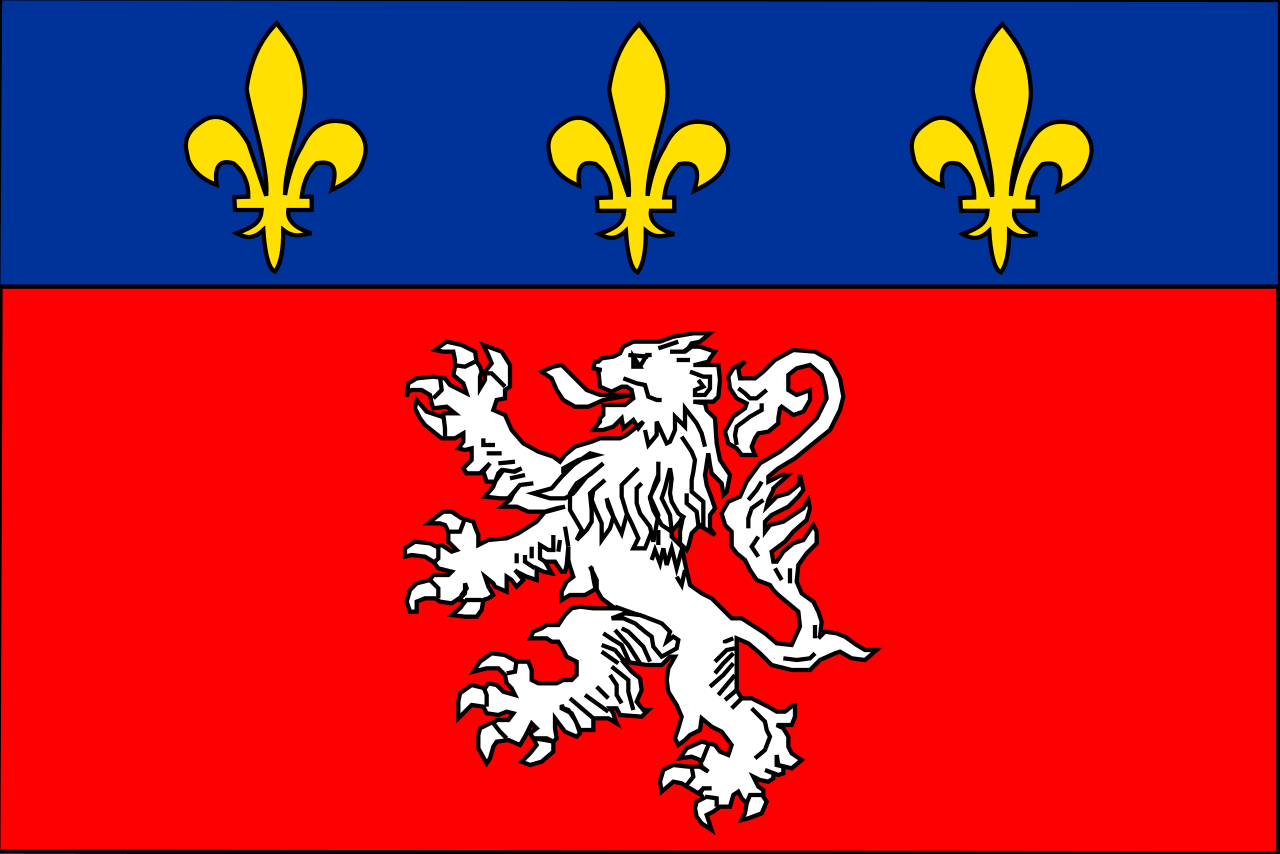 Władze francuskiego miasta Lyon rezygnują z oprogramowania Microsoftu na rzecz wolnego opgrogramowania